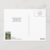 Carte Postale Spring Creek Painterly Penser de vous (Dos)