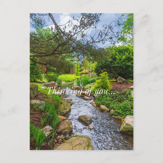 Carte Postale Spring Creek Painterly Penser de vous (Devant)