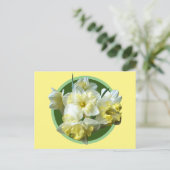 Carte Postale Spring Daffodils White Yellow Narcissus Flowers (Debout devant)