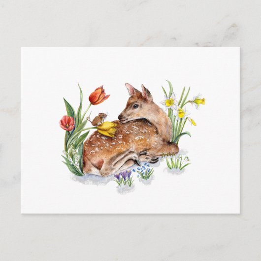 Carte Postale Spring Deer (Devant)