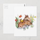 Carte Postale Spring Deer (Devant / Derrière)