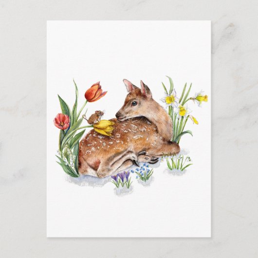 Carte Postale Spring Deer (Devant)