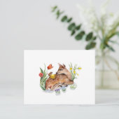 Carte Postale Spring Deer (Debout devant)