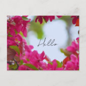 Carte Postale Spring Flower Photography (Devant)