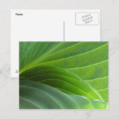 Carte postale Spring Hostal (Devant / Derrière)