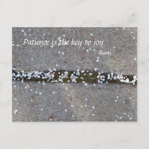 Carte Postale Spring Petals Rumi Joy