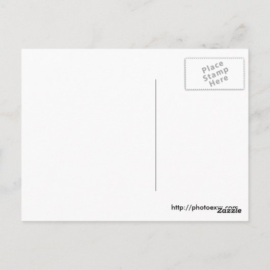 Carte Postale Spring Point, Maine (Dos)