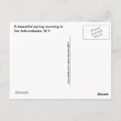 Carte Postale Spring Reflections in the Adirondacks, N.Y. (Dos)