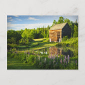 Carte Postale Spring Reflections in the Adirondacks, N.Y. (Devant)