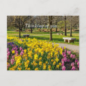 Carte Postale Spring Season Flower Garden Thinking Of You (Devant)
