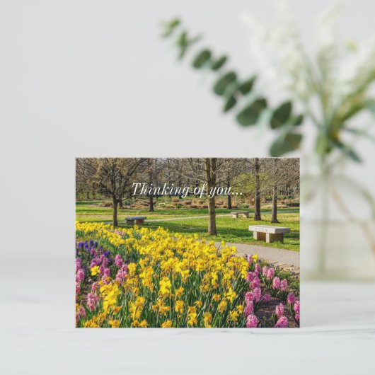 Carte Postale Spring Season Flower Garden Thinking Of You (Debout devant)