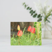 Carte postale Spring Time 2 (Debout devant)