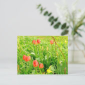 Carte postale Spring Time 3 (Debout devant)