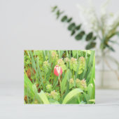 Carte postale Spring Time 6 (Debout devant)