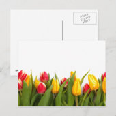 Carte postale Spring Tulip Garden (Devant / Derrière)