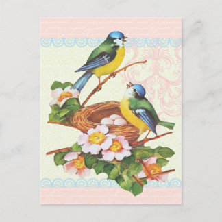 Carte Postale Spring Vintage Cute Bird Couple and Nest