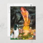 Carte Postale Springer anglais 7 - MidEve (Devant / Derrière)