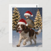 Carte Postale Springer Spaniel and Partridge Christmas postcard (Devant / Derrière)