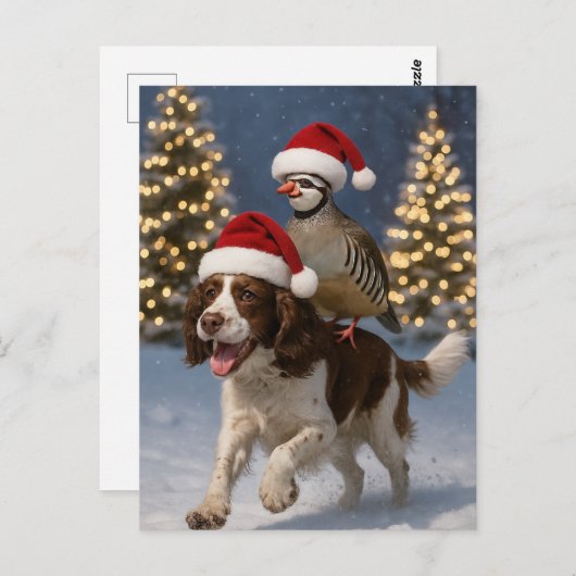 Carte Postale Springer Spaniel and Partridge Christmas postcard (Devant / Derrière)
