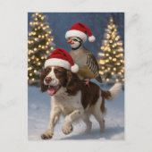 Carte Postale Springer Spaniel and Partridge Christmas postcard (Devant)