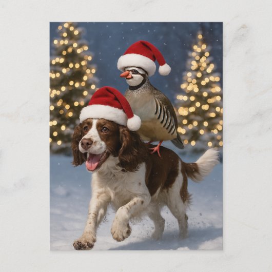 Carte Postale Springer Spaniel and Partridge Christmas postcard (Devant)