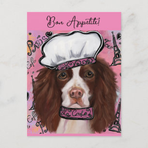 Carte Postale Springer Spaniel anglais