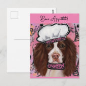 Carte Postale Springer Spaniel anglais (Devant / Derrière)