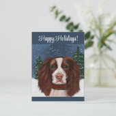 CARTE POSTALE SPRINGER SPANIEL ANGLAIS     (Debout devant)