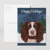 CARTE POSTALE SPRINGER SPANIEL ANGLAIS     (Devant / Derrière)