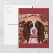 Carte Postale Springer Spaniel Anglais    (Devant / Derrière)
