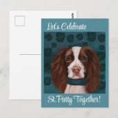 Carte Postale Springer Spaniel anglais (Devant / Derrière)