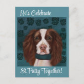 Carte Postale Springer Spaniel anglais (Devant)