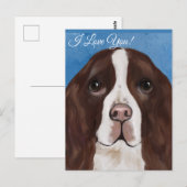 CARTE POSTALE SPRINGER SPANIEL ANGLAIS (Devant / Derrière)