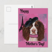 Carte Postale Springer Spaniel Anglais (Devant / Derrière)