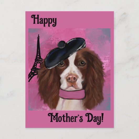 Carte Postale Springer Spaniel Anglais (Devant)