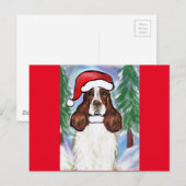 CARTE POSTALE SPRINGER SPANIEL ANGLAIS (Devant / Derrière)
