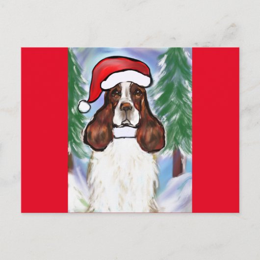 CARTE POSTALE SPRINGER SPANIEL ANGLAIS (Devant)