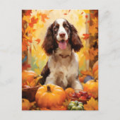 Carte Postale Springer Spaniel Automne Thanksgiving (Devant)