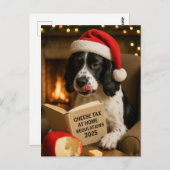 Carte Postale Springer spaniel  'Cheese Tax' Christmas postcard (Devant / Derrière)