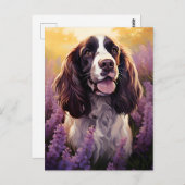 Carte Postale Springer Spaniel dans le champ Lavender (Devant / Derrière)