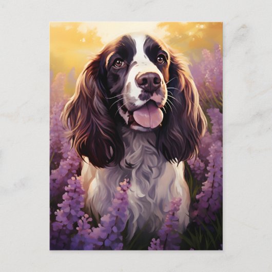 Carte Postale Springer Spaniel dans le champ Lavender (Devant)