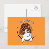 Carte Postale Springer Spaniel IAAM (Devant / Derrière)