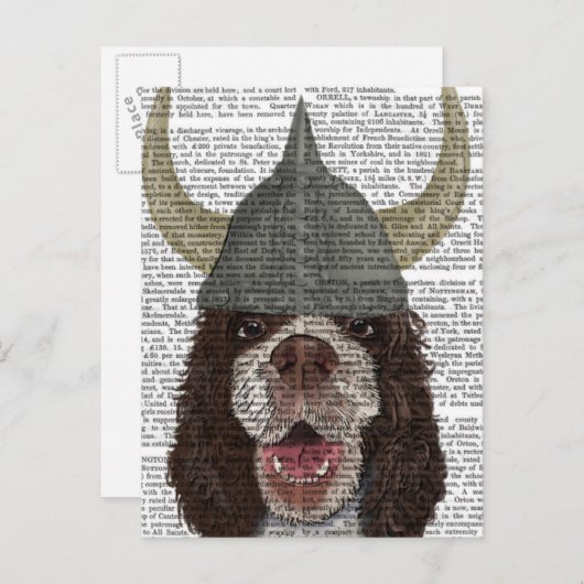 Carte Postale Springer Spaniel Viking (Devant / Derrière)