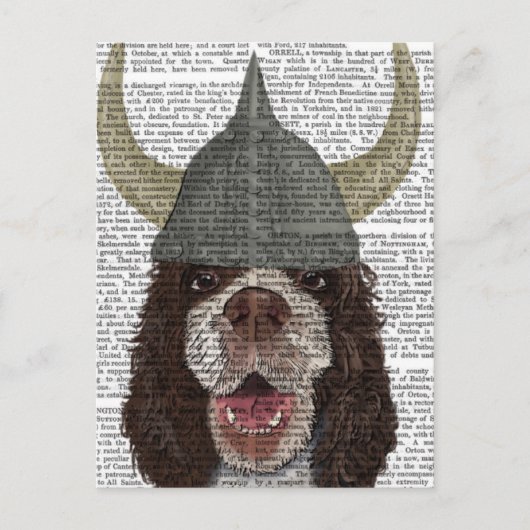 Carte Postale Springer Spaniel Viking (Devant)