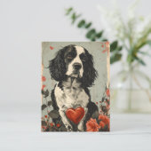 Carte Postale Springer Spaniel Vintage Saint Valentin (Debout devant)