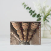 Carte Postale Springs, Texas Postcard (Debout devant)