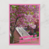 Carte Postale Springtime à Boston, MA (Devant)