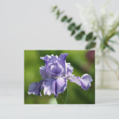Carte Postale "Springtime Blues" Iris Photographie (Debout devant)