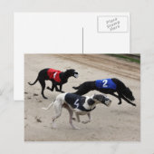 Carte Postale sprint de hêtre (Devant / Derrière)