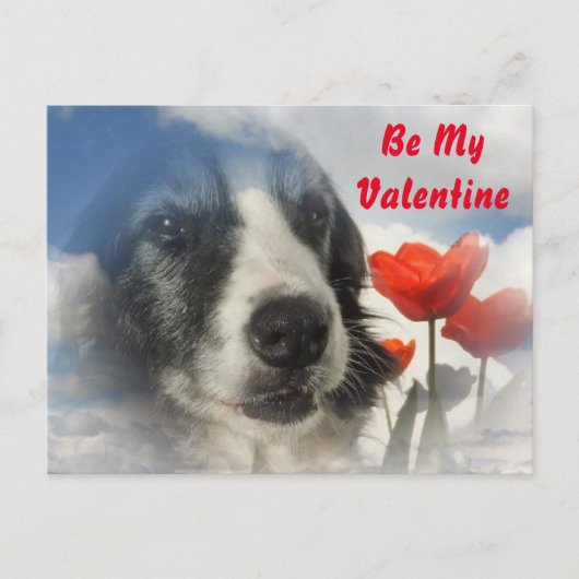 Carte postale Sprollie Be My Valentine (Devant)